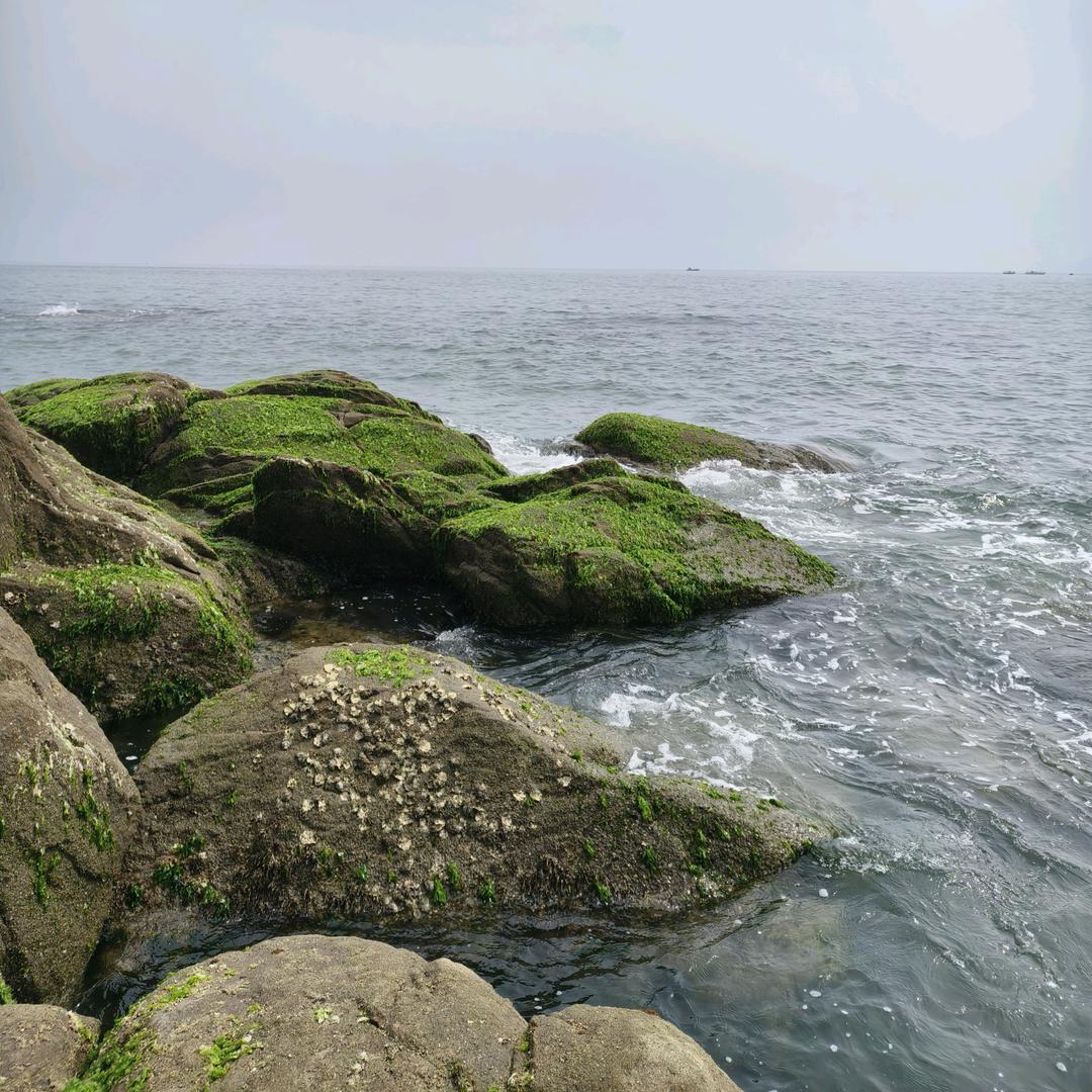 帅达化工回收厂