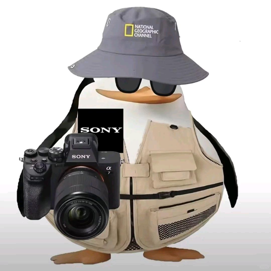 校园素人焕新录✨