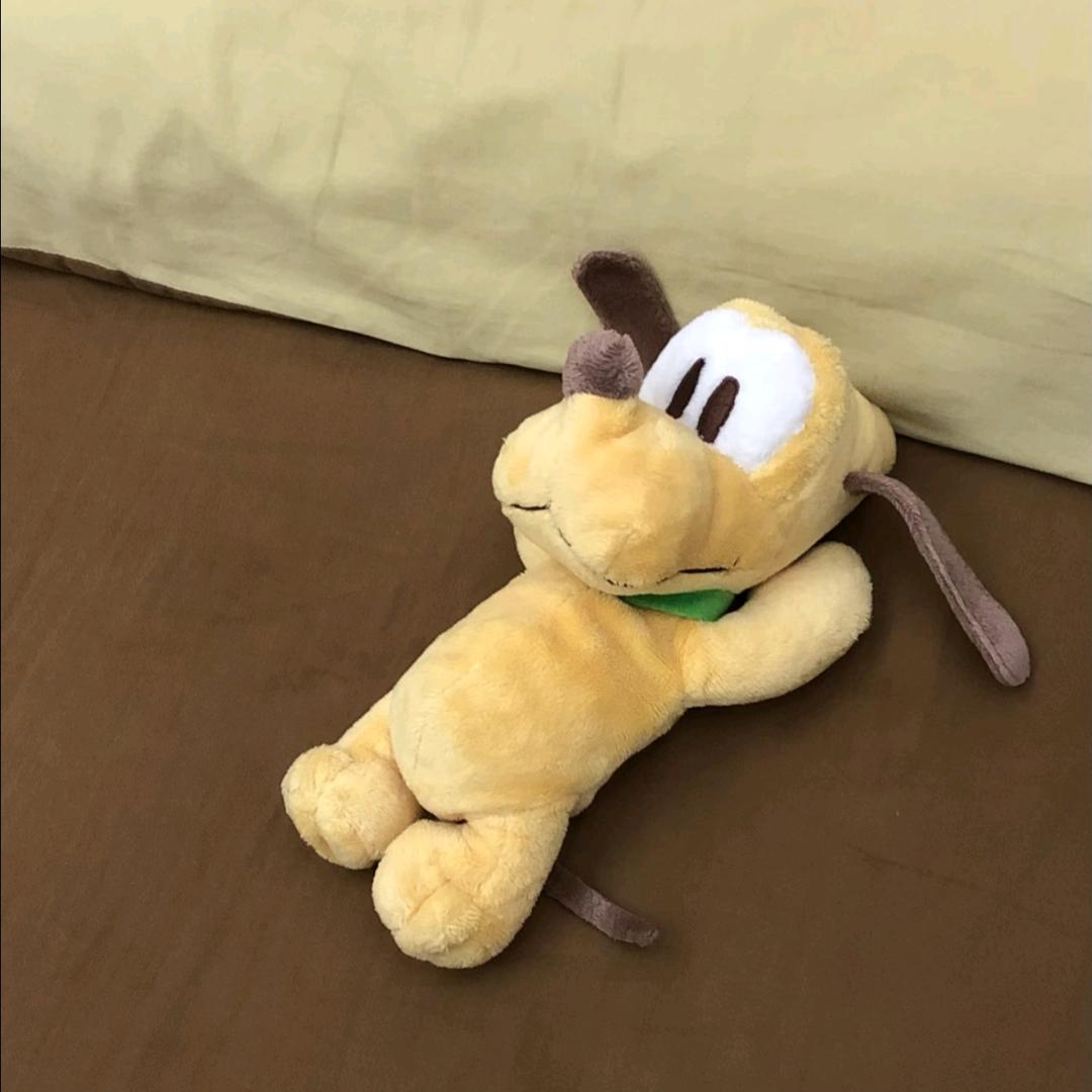 淮迹
