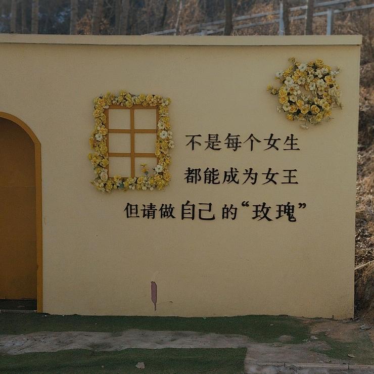 最熟悉的陌生人🍁