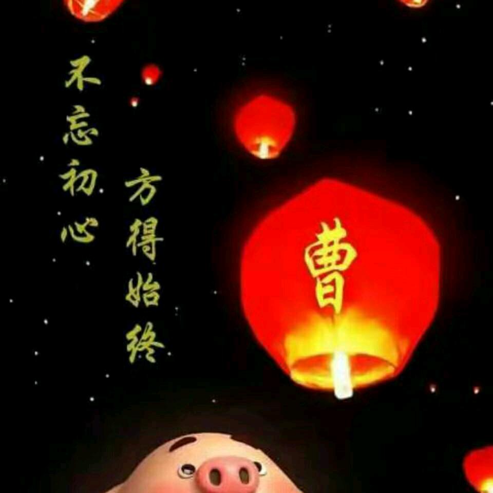 万水千山总是情给个关注行不行