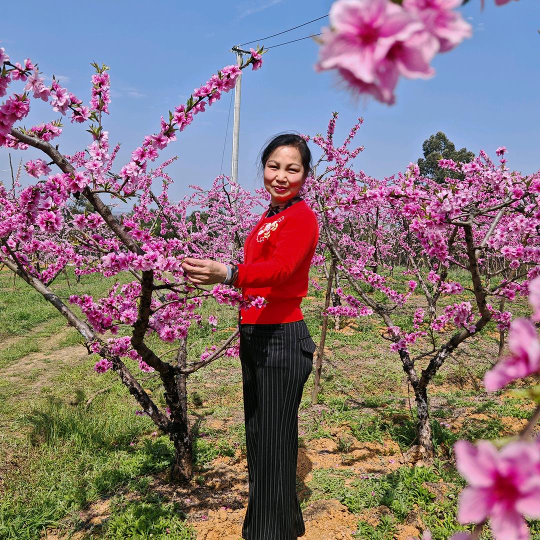 鲁德香