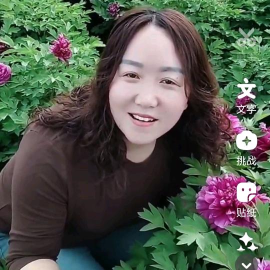春💝