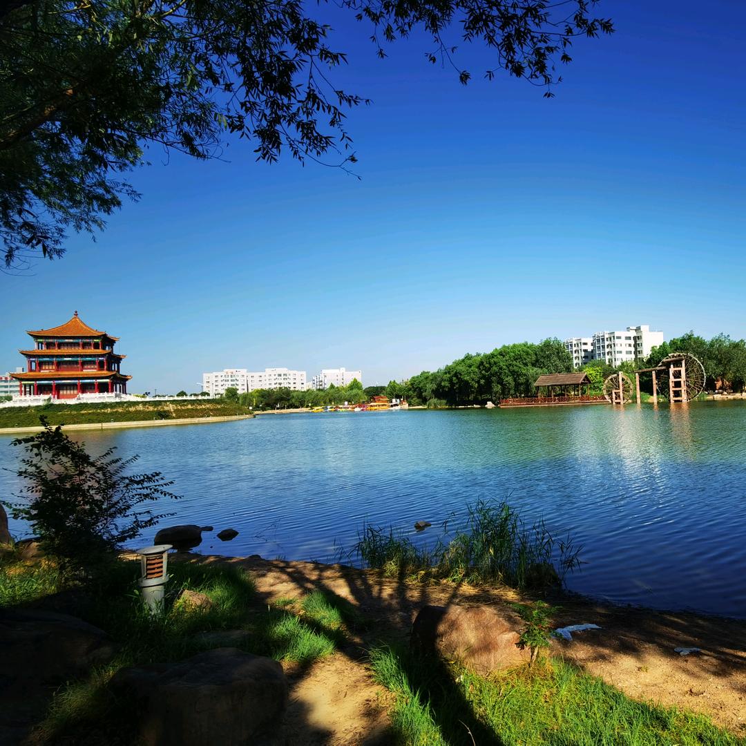 爱吃油泼鲤鱼的瓶盖