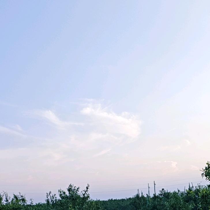逆流