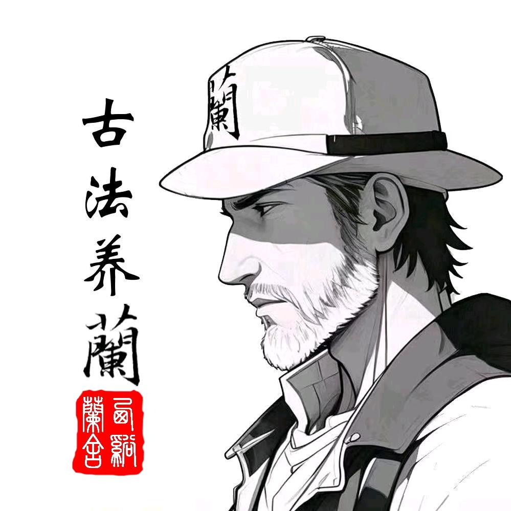 张建兰草·阳台养兰