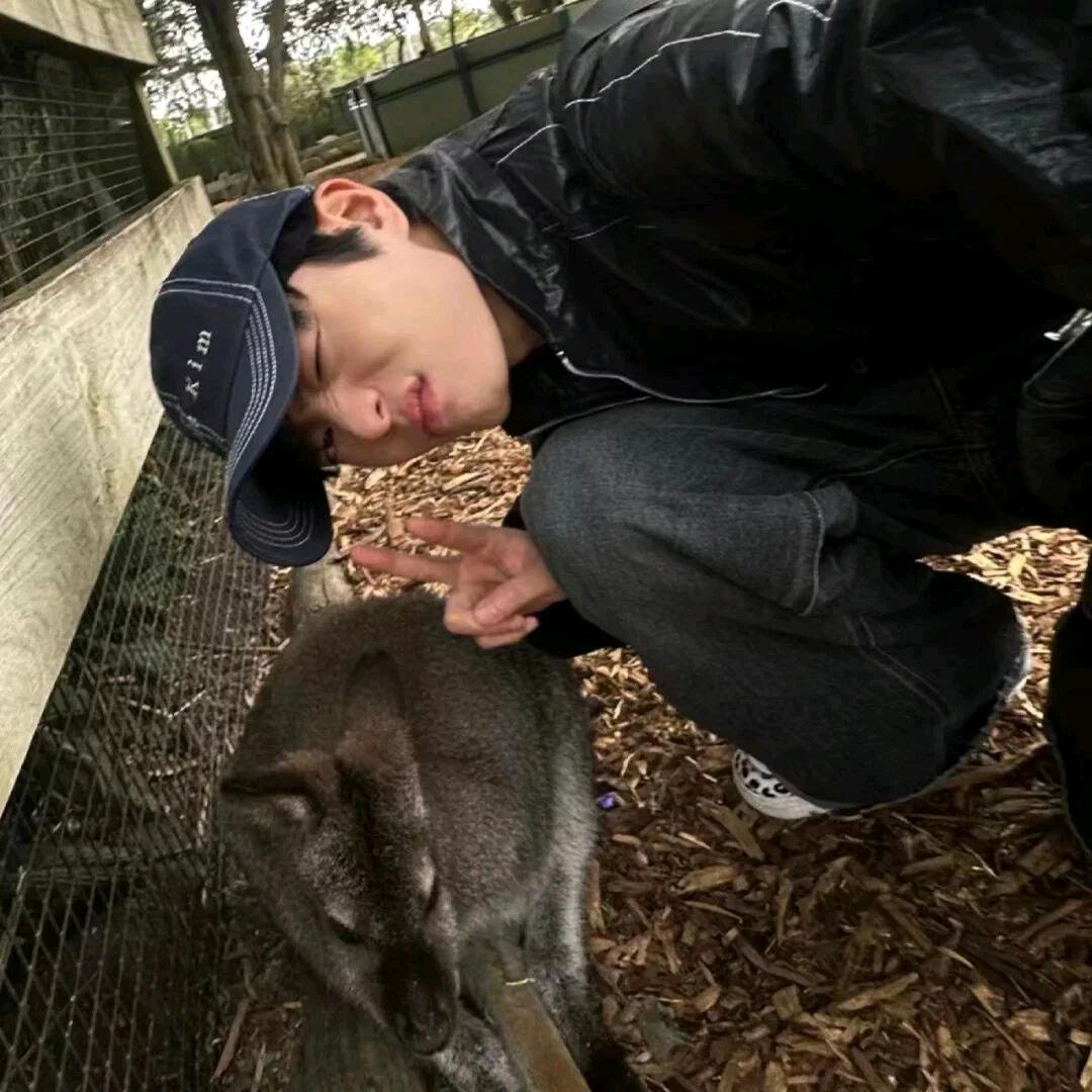 椰子.