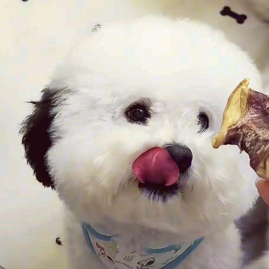 每天都好困