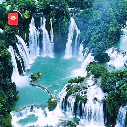 旭日🤝清晨🌻