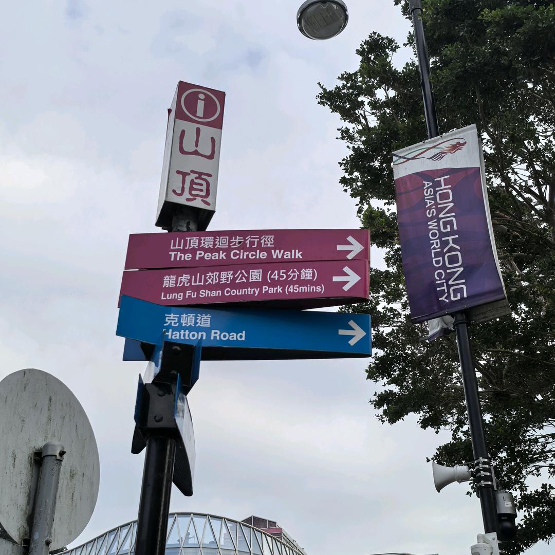 太平山上一路小跑