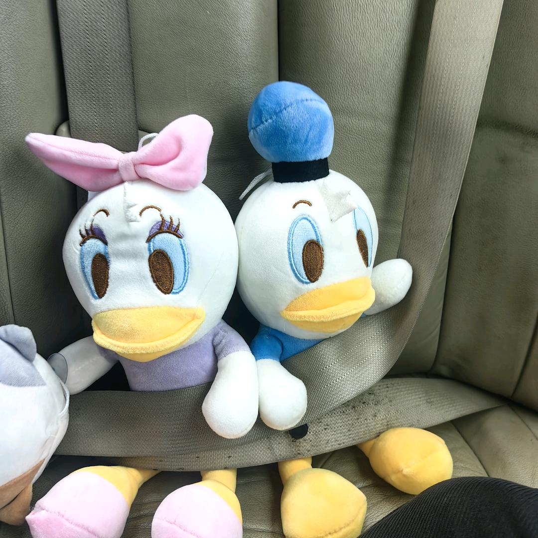 小罗罗