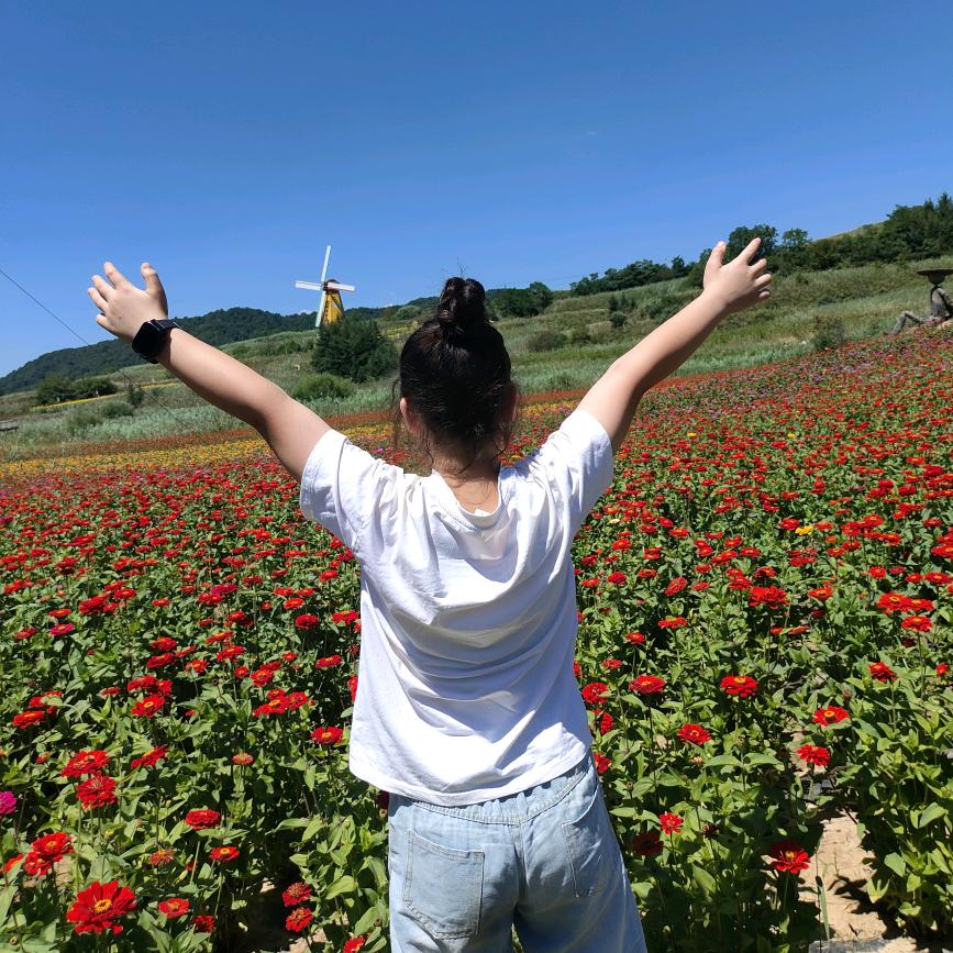 笑里藏刀的常态