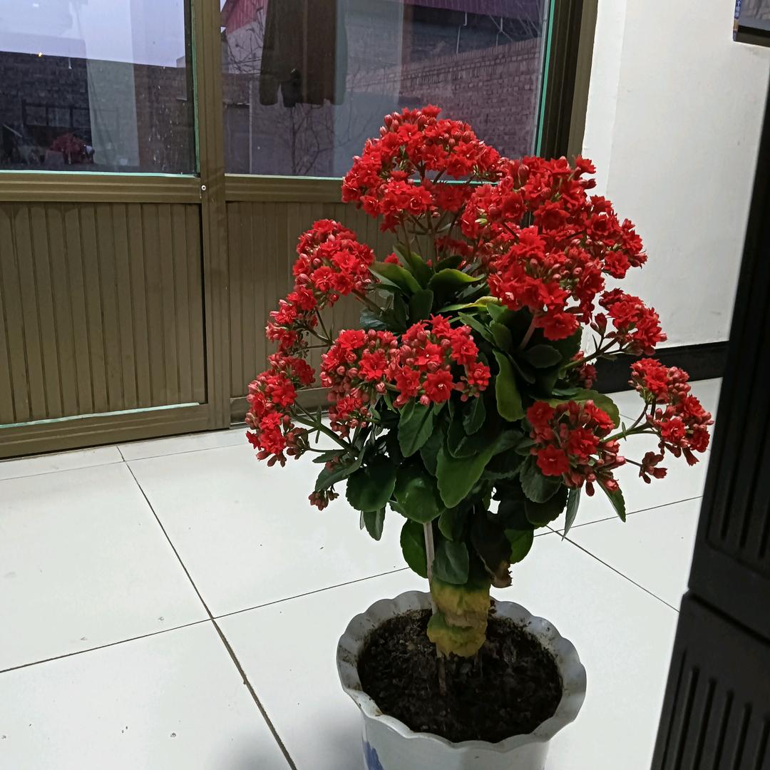 怀念