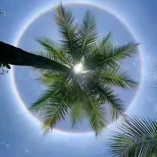 @悲伤小土豆T^T: Beau