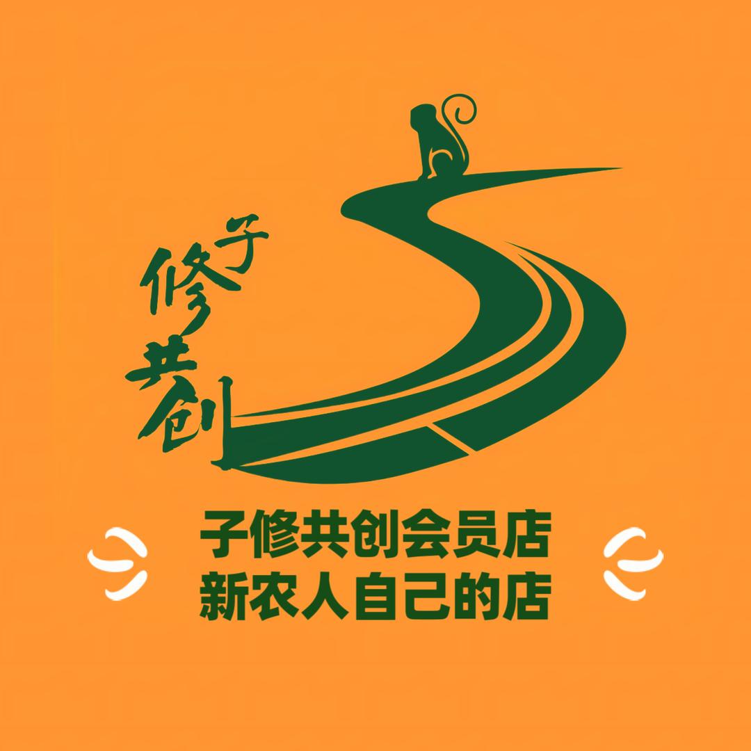 子修共创