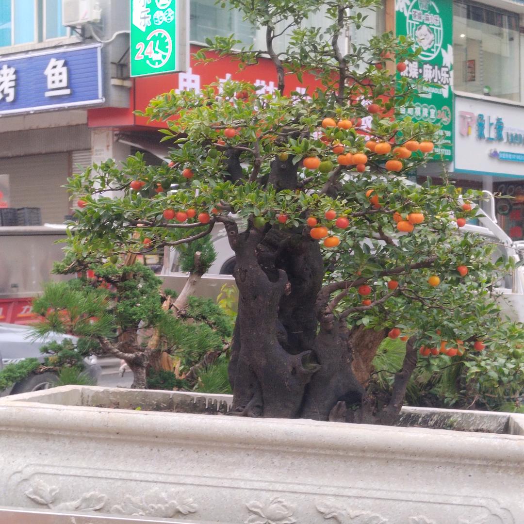 专业石膏抹灰冲筋