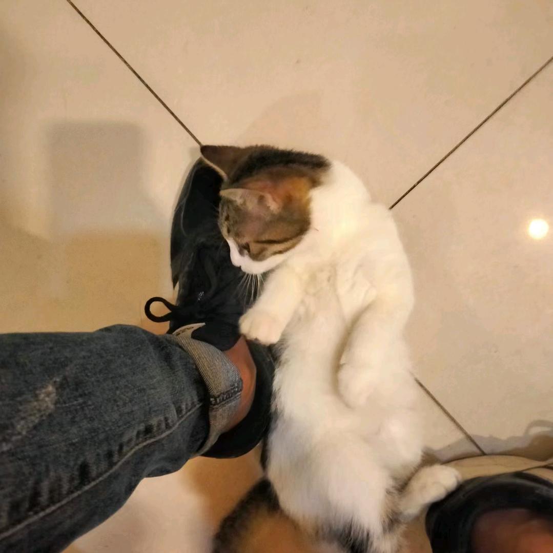 不再联系