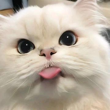 三角洲鸣潮代肝