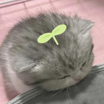想睡