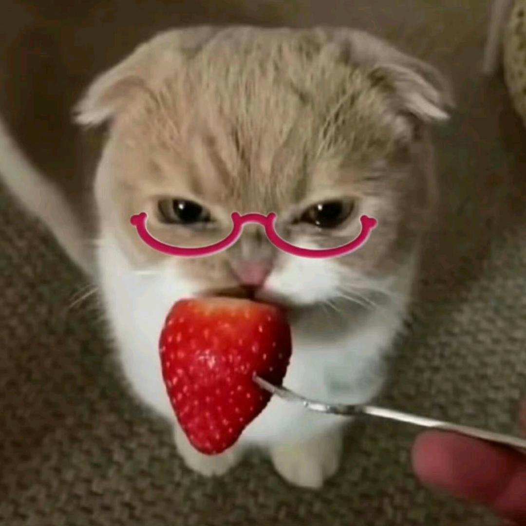 菠菠萝