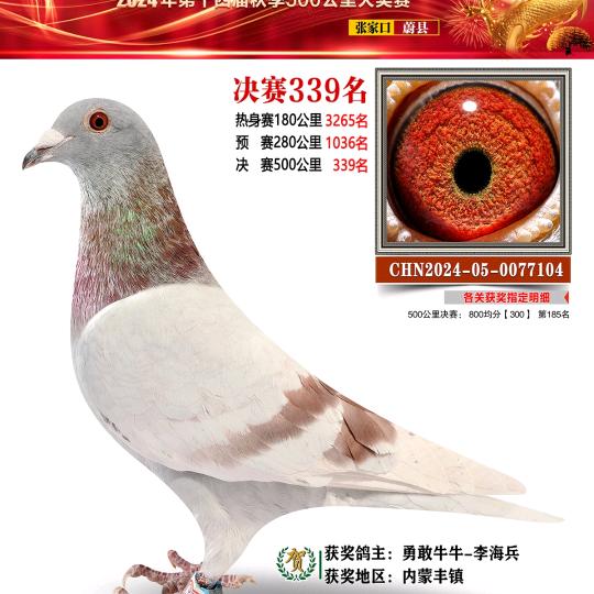 《辉煌》吉祥鸟-李海兵