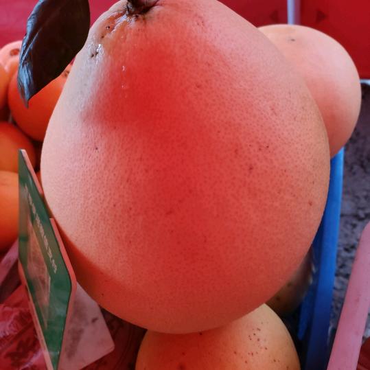 难忘的回忆