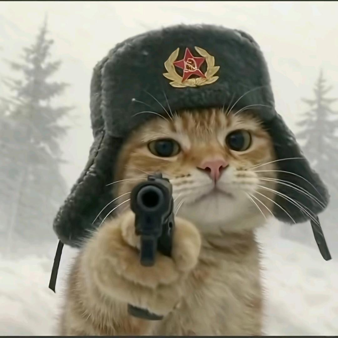 猪骨头烩酸菜