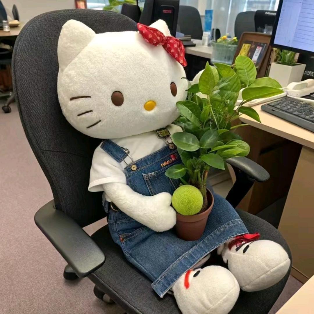 达不溜
