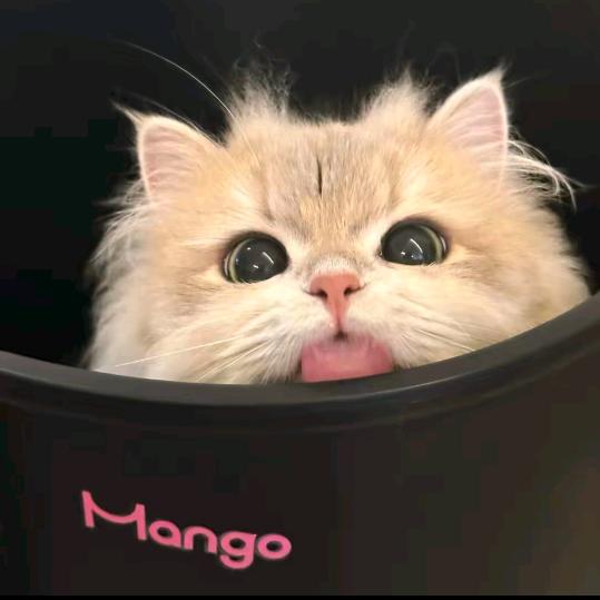 琳好o.0