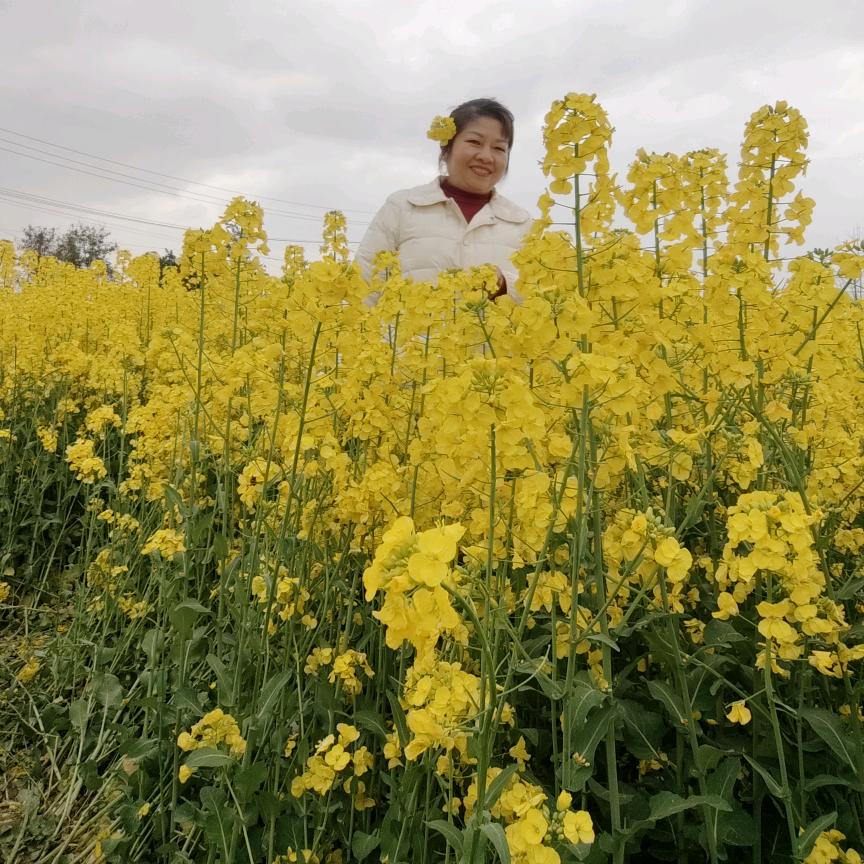 小方