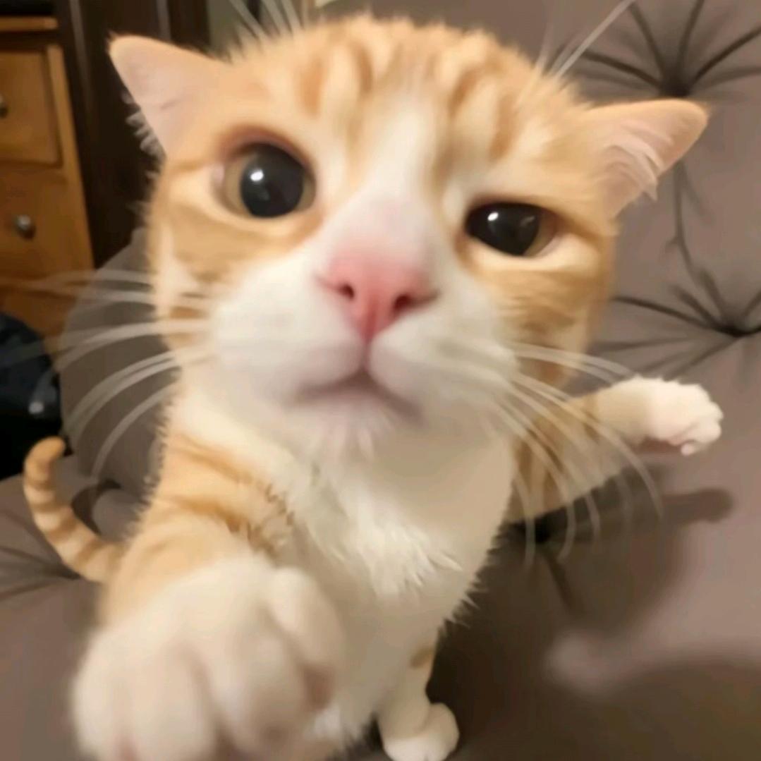 球琦