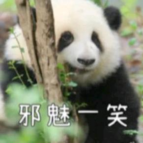 小熊~