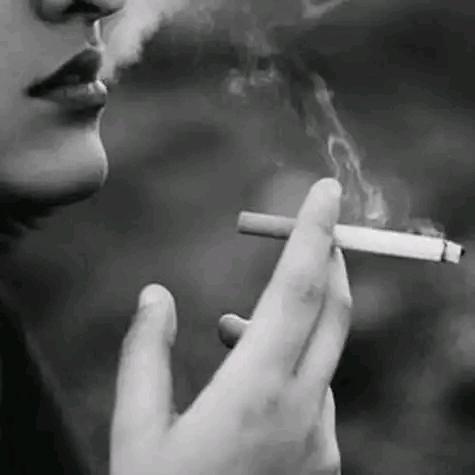木~头