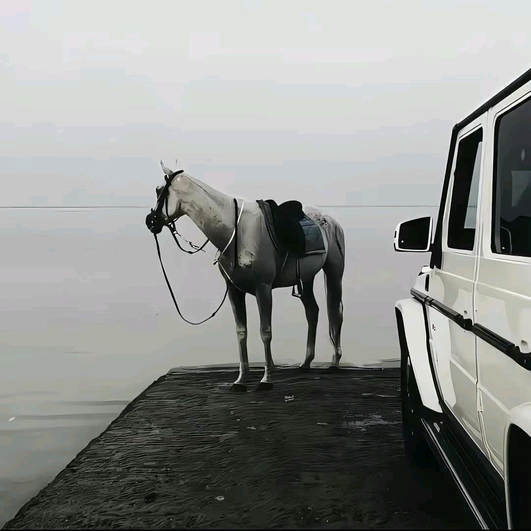 雾川🌒