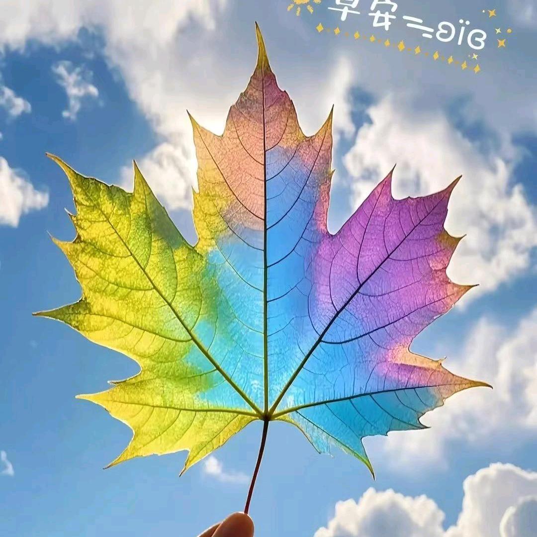 舍保 张老师