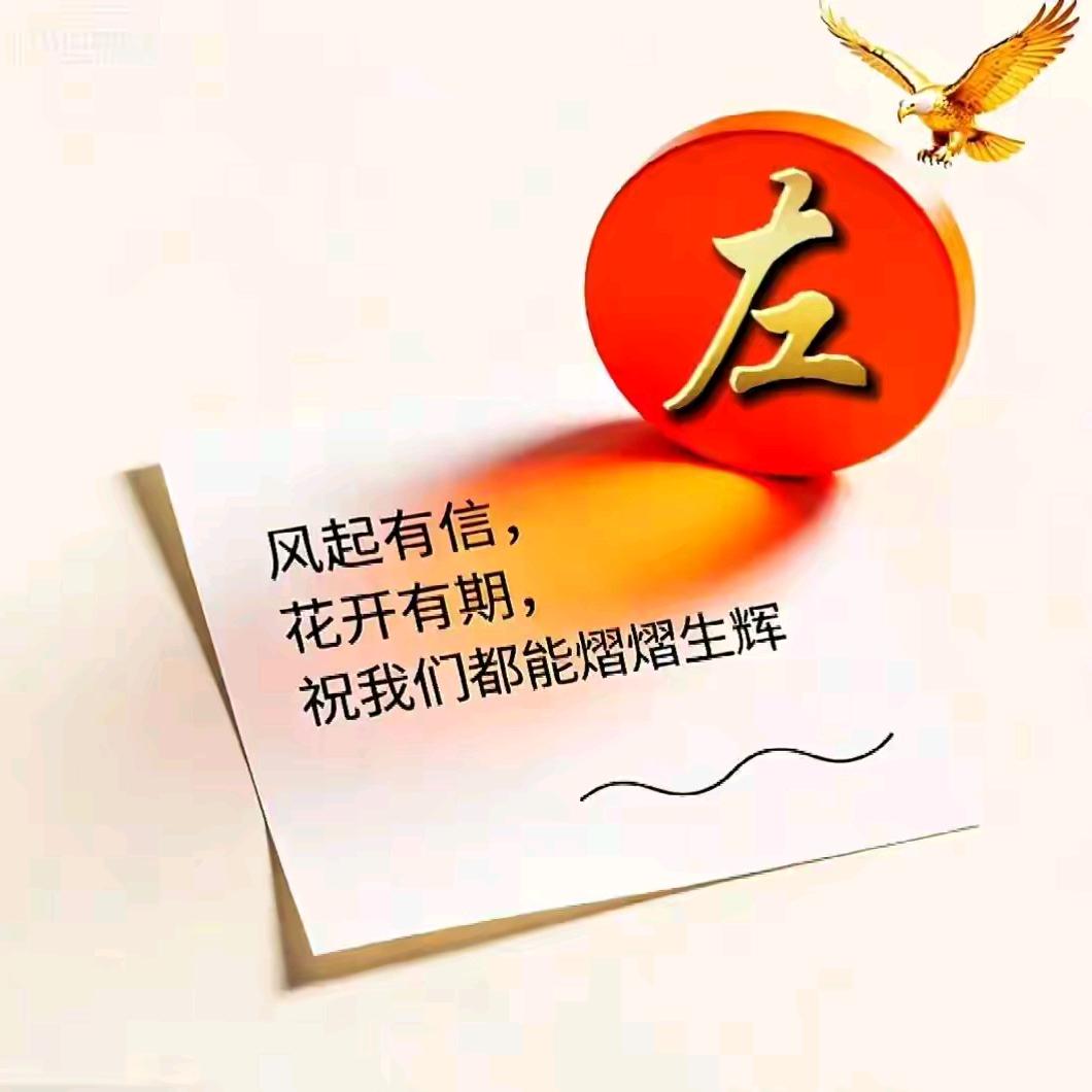 ꧁༺ཊ࿈珍࿈ཏ༻꧂