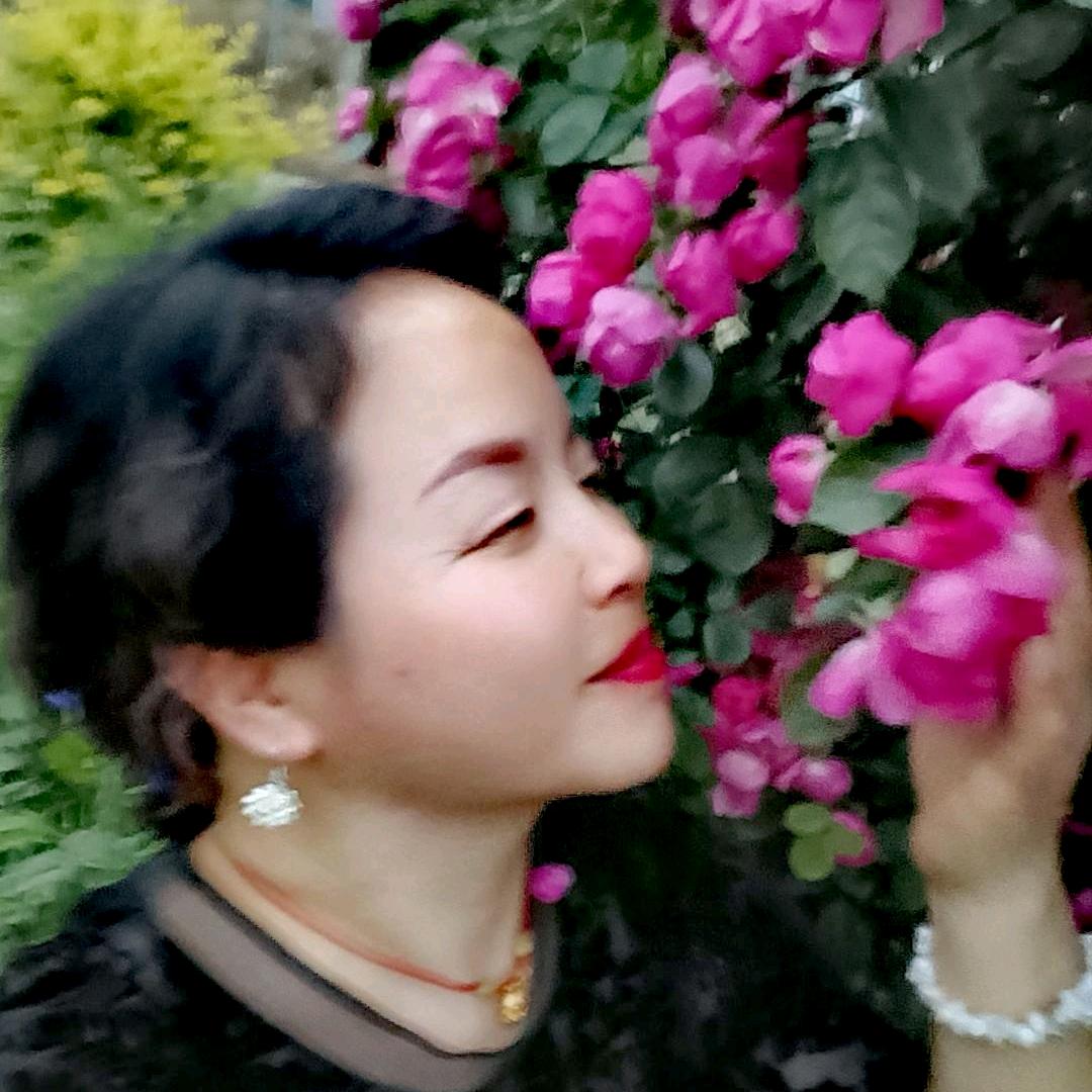 凤舞🌹蔷薇