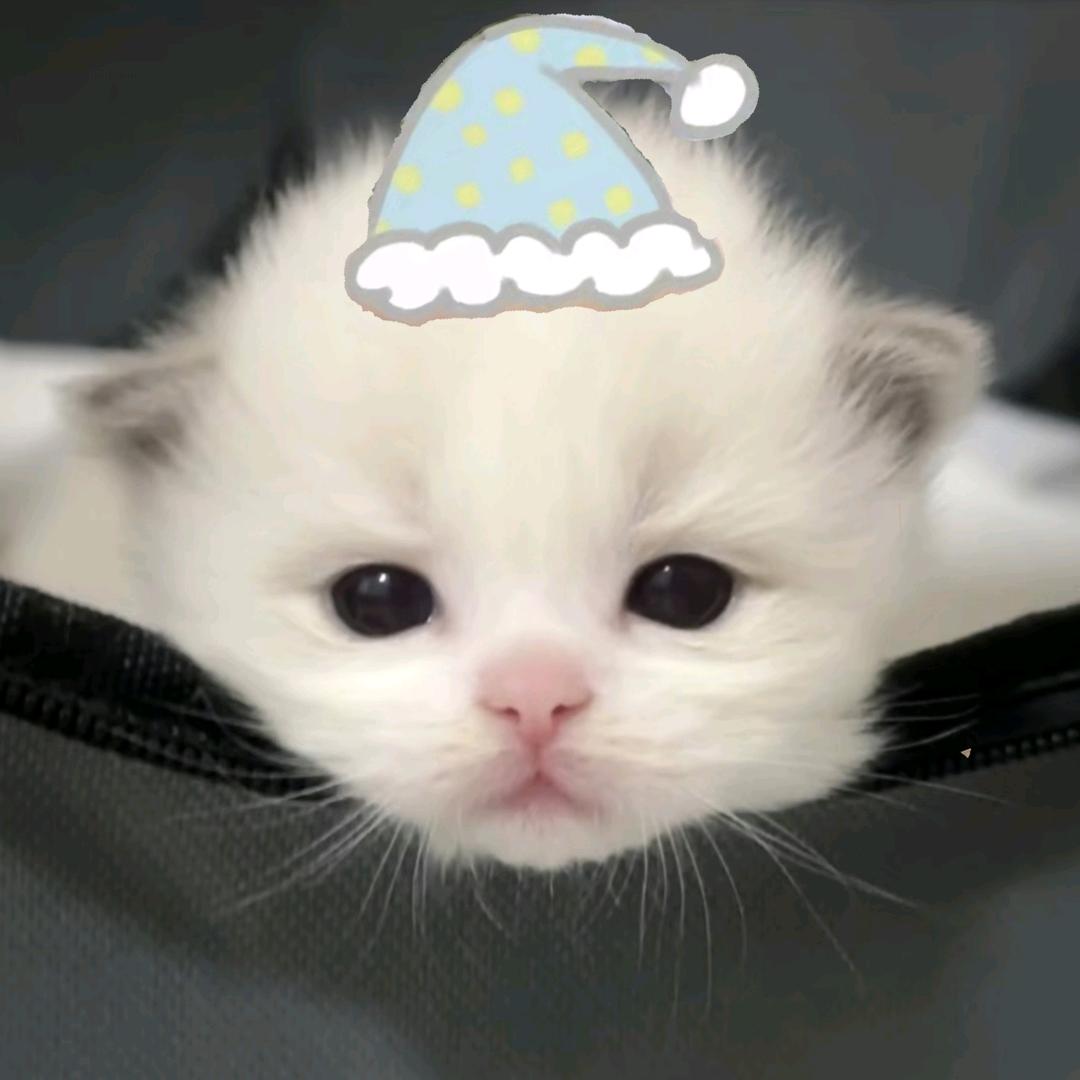还会的