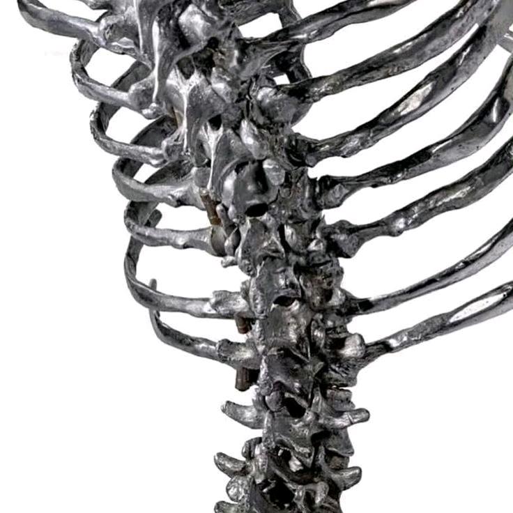 Spine