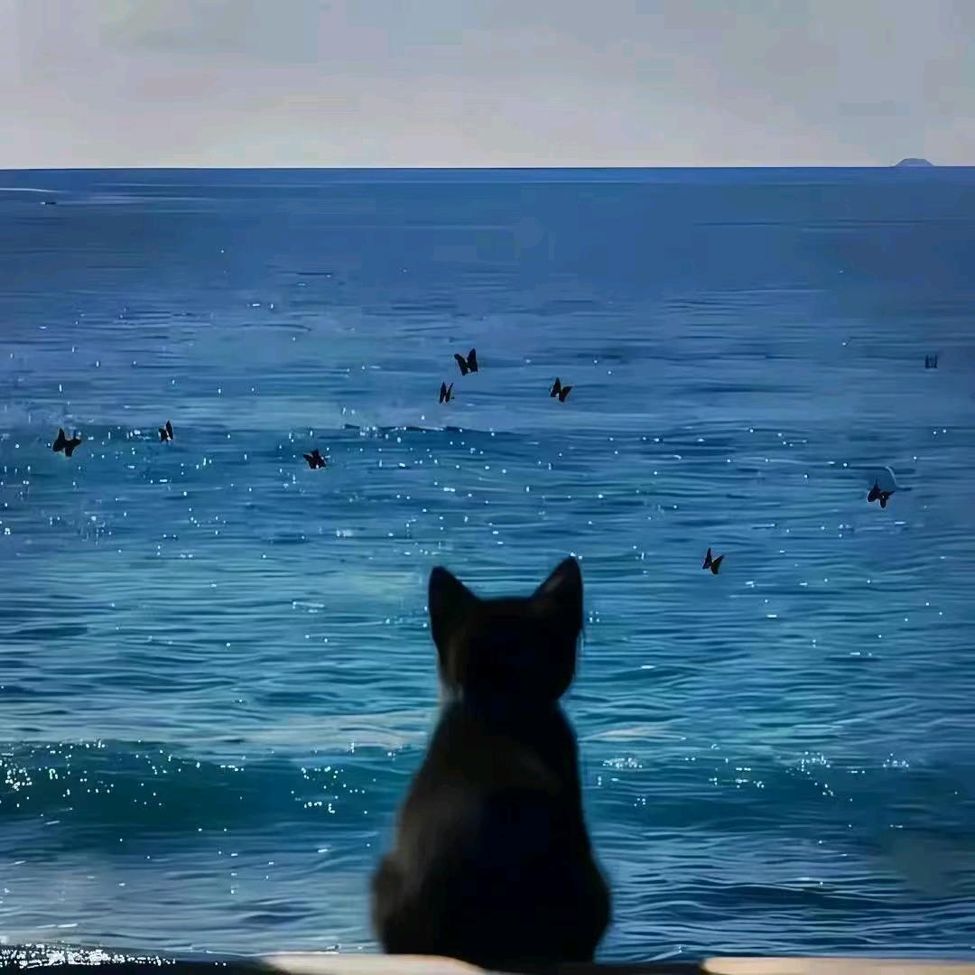 星河（三角洲行动）