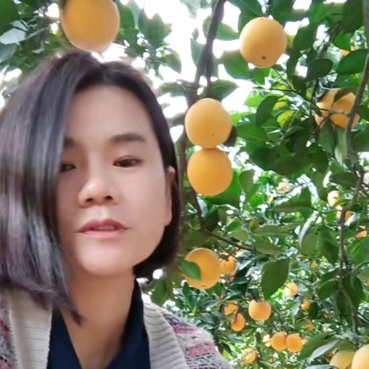 隆回 华丽🍊橙子
