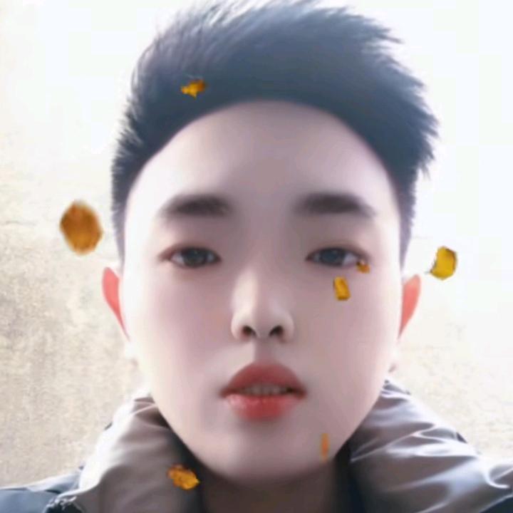 波哥优选