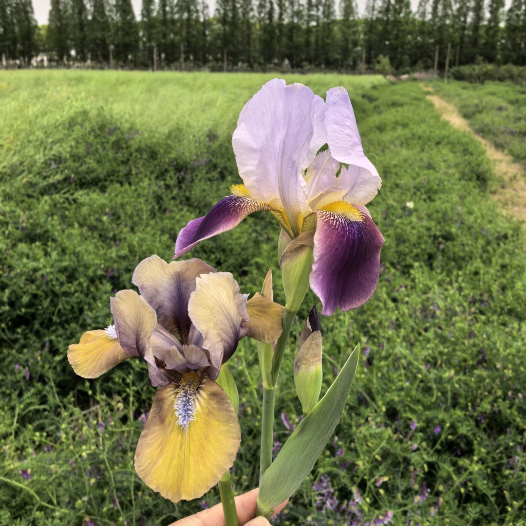 心禾生态家庭农场