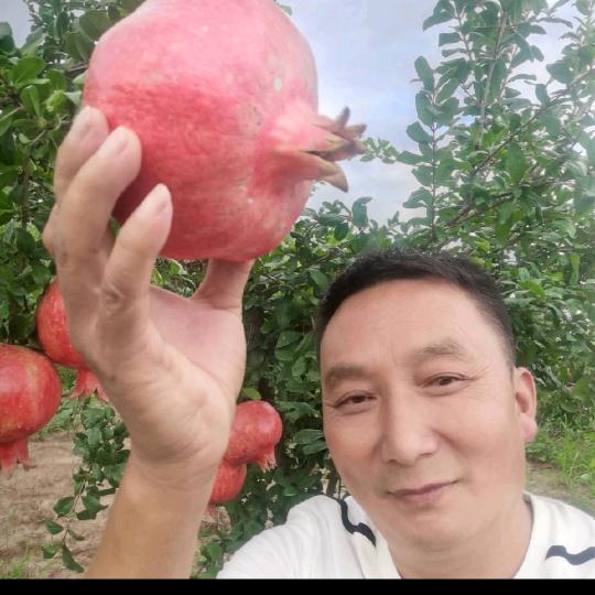 珍珠山生态果园  张志超