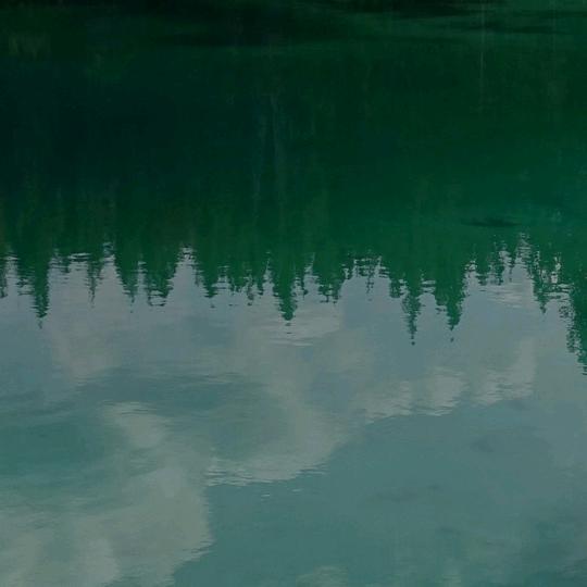 缘到之时便是爱