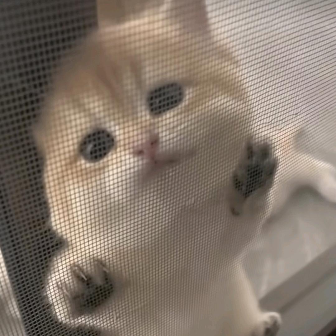 ormmmm