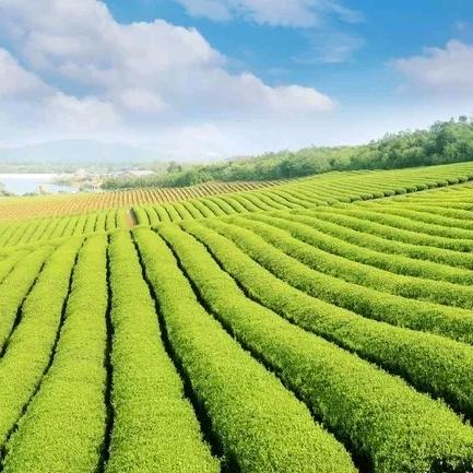 深圳市盛信宏广告传媒