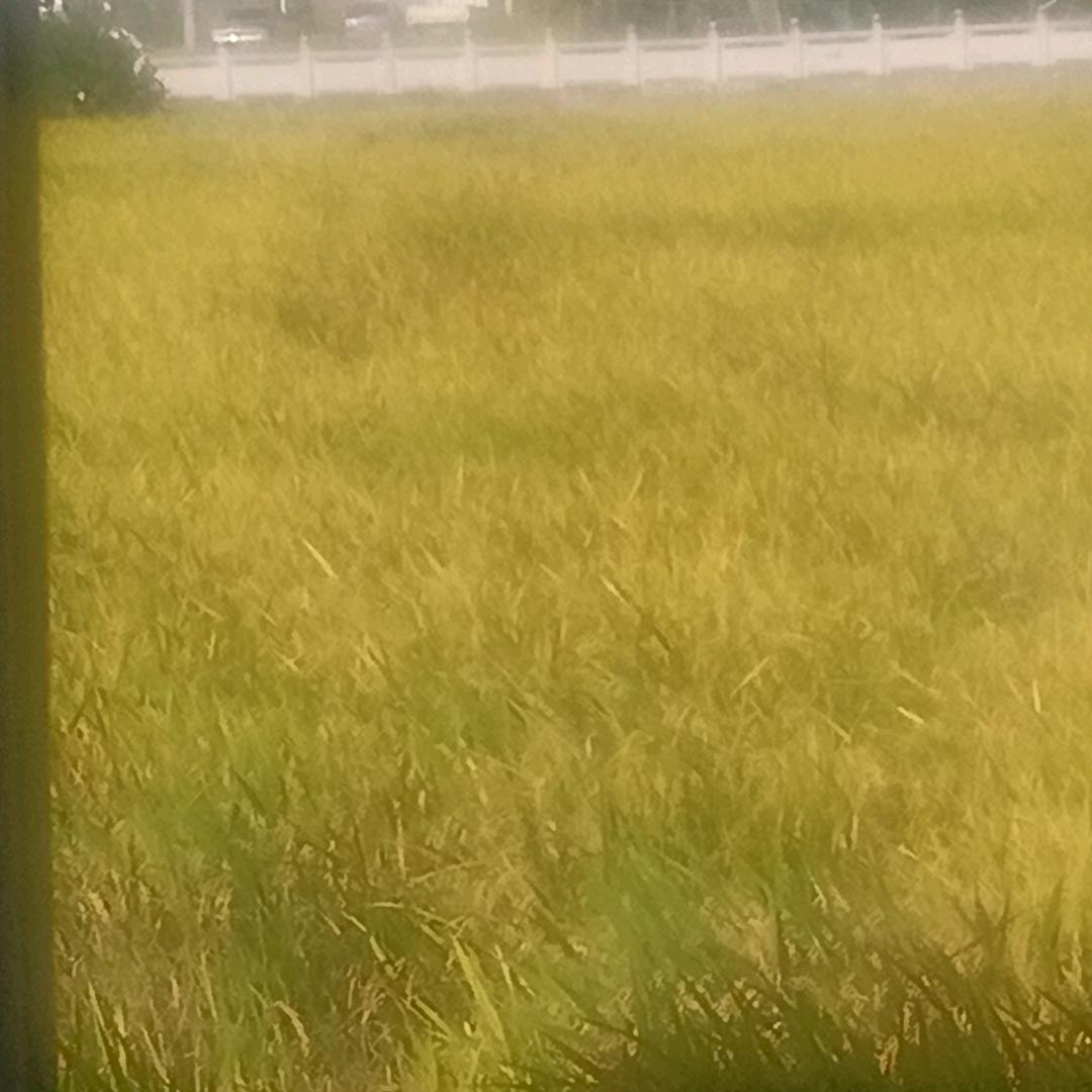 快乐余生
