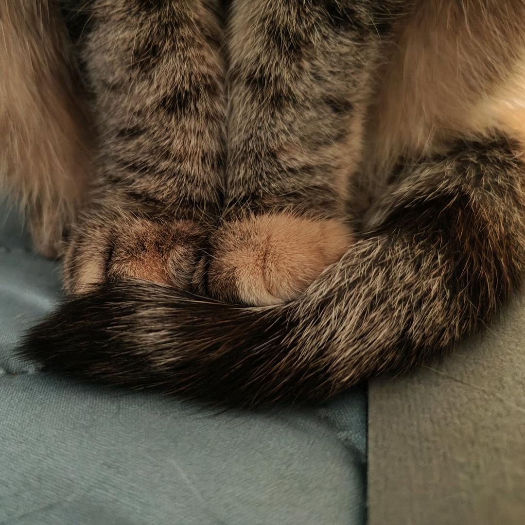 达特寇斯特米吐马齐突突突突突马齐