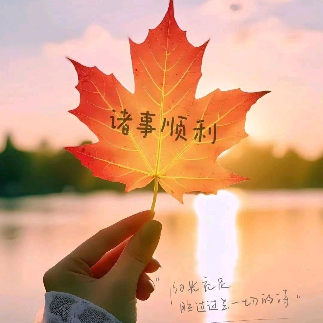 🌼᭄好运ꚸ加满Չᐝ࿐ᩚ: 🌼᭄
